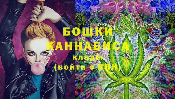 спайс Баксан